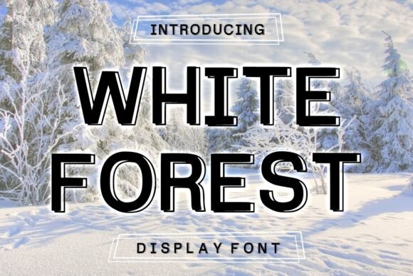 White Forest: Bold Display Font for Designers